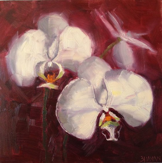 White Orchids