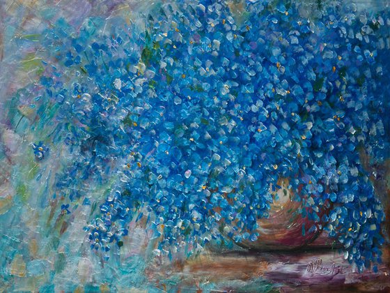 Forget Me Nots