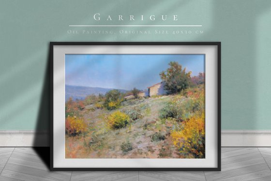 Garrigues in Provence