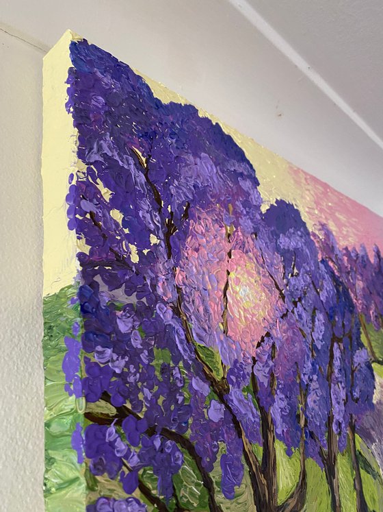 Jacaranda sunset at Kirribilli