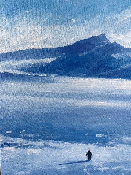 Lonely penguin, but why?