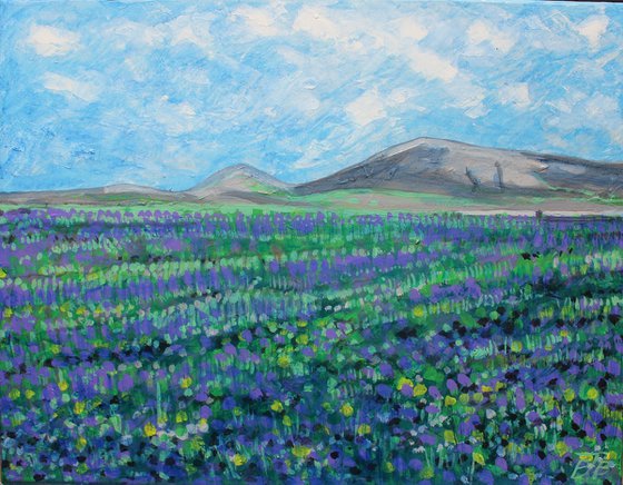 Lanzarote Landscape I