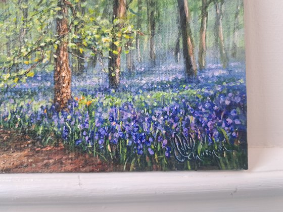 A Walk In The Bluebell Woods