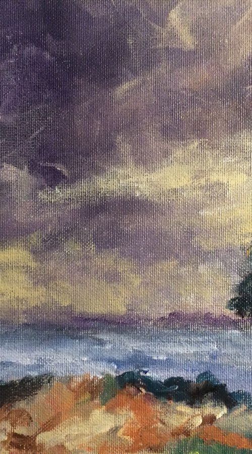 Tree at Carmel by Ramya Sarveshwar