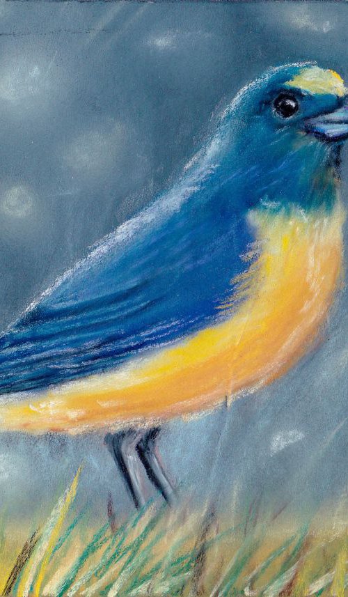 Bird n1 by Yulia Schuster