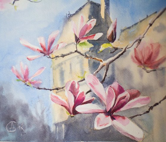 Magnolias in Paris. Original watercolor. Small size paris spring france pink flowers landscape nature decor interior gift