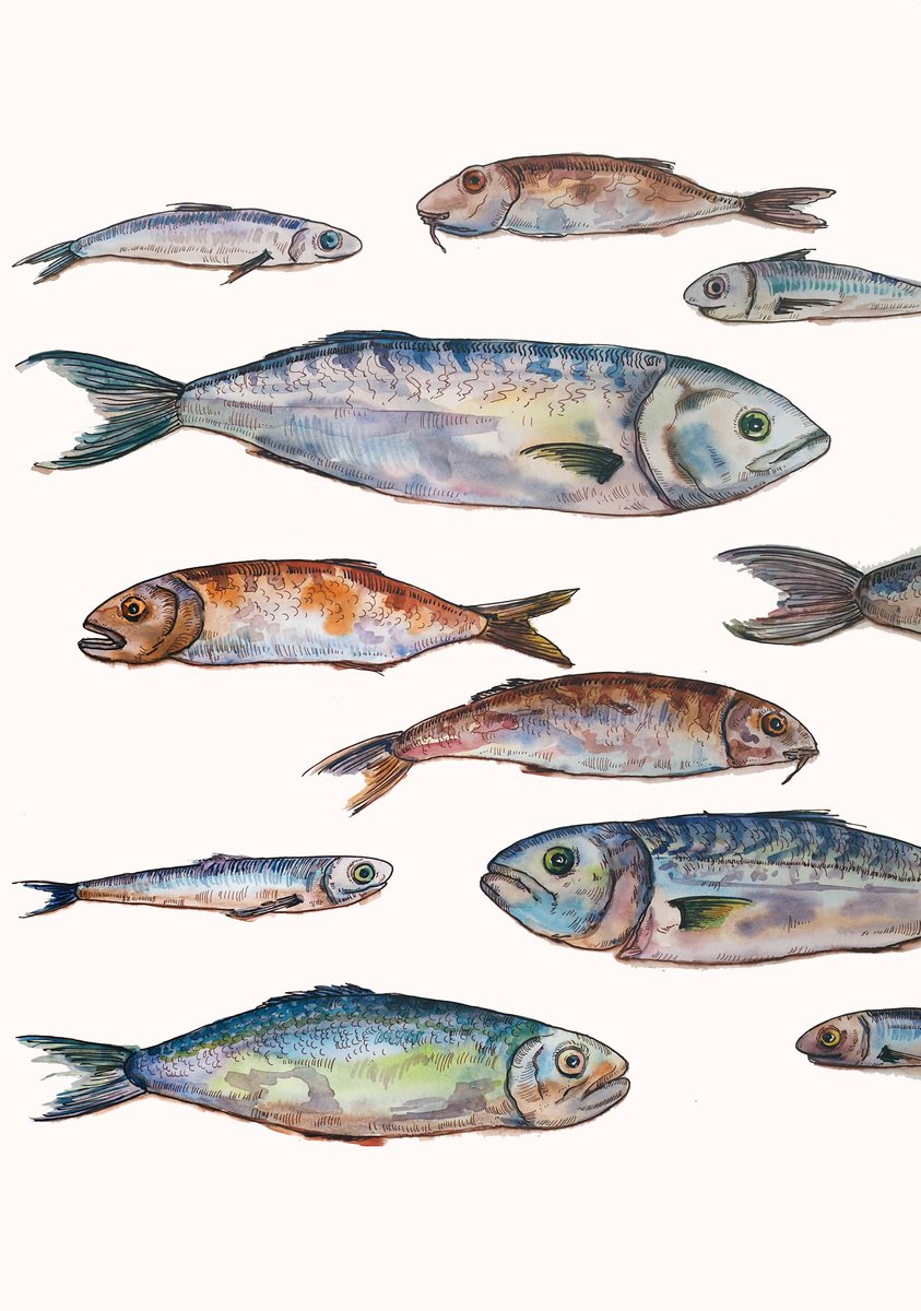 Set of fish - original seafood watercolor paintink and ink graphic by Delnara El