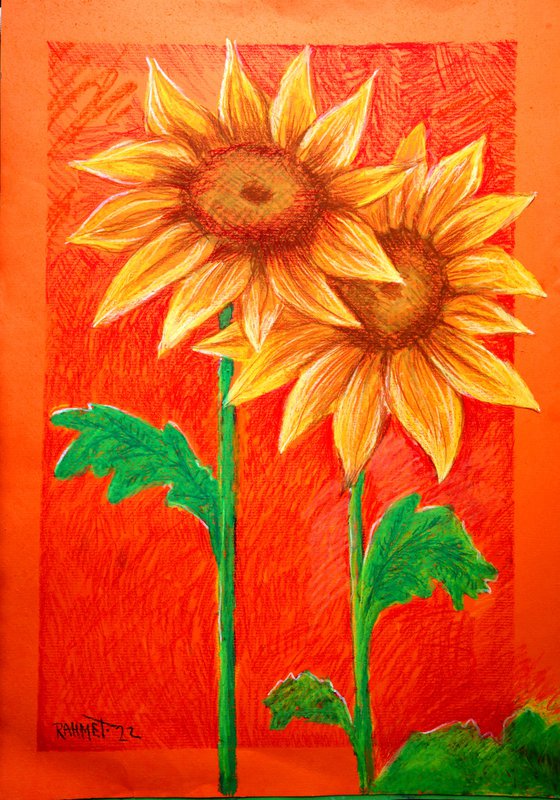 Two Sunflowers