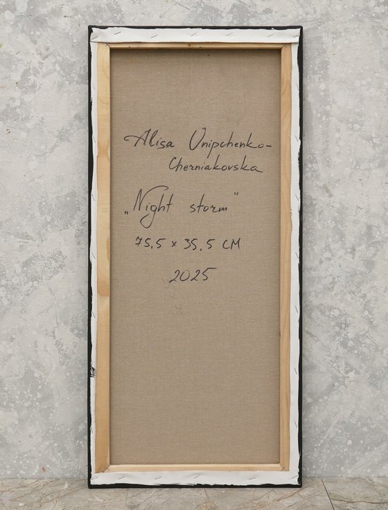 Night storm seascape