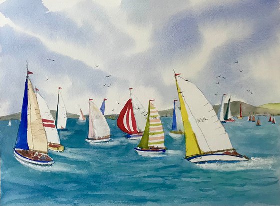 The Yacht Race