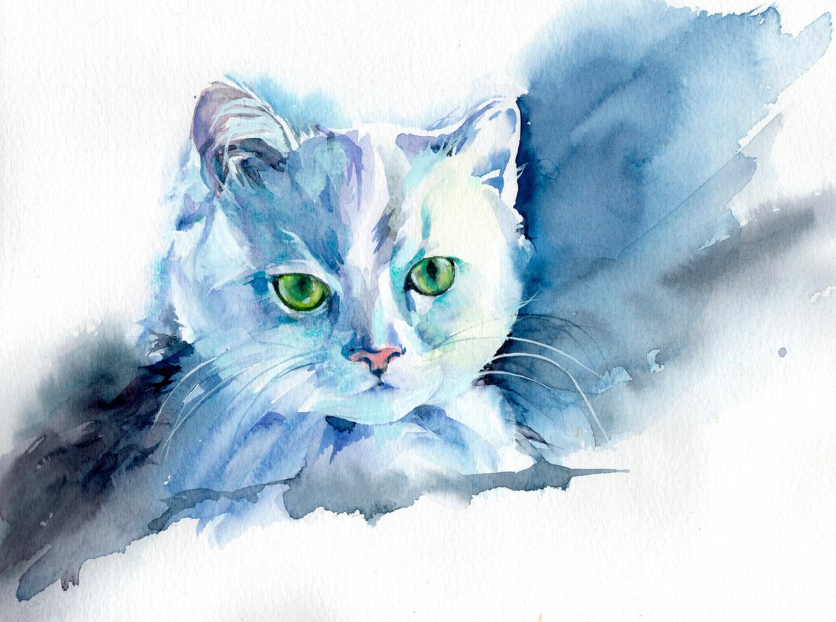 Cat, Original watercolour painting by Anjana Cawdell