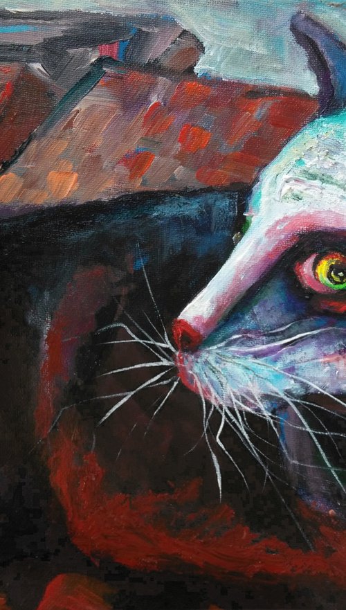 BLACK EYE by Elisheva Nesis