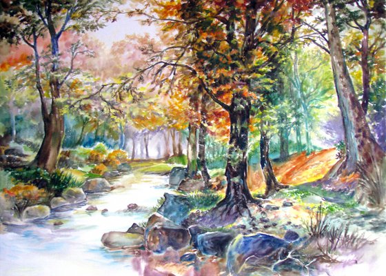 Autumnal colours in the forest