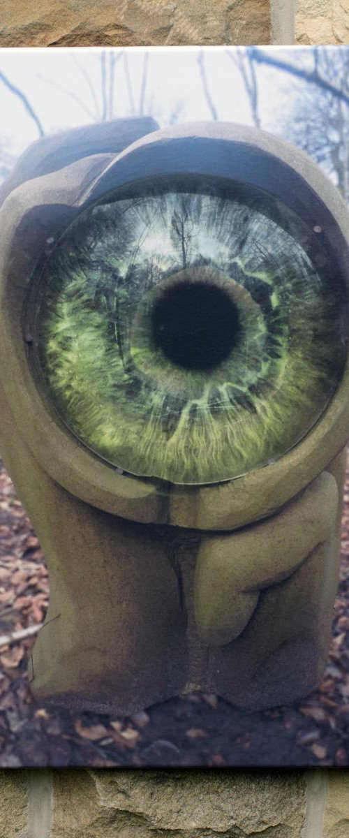 The Eye by Andrew Vickers