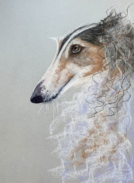 Dog Portraits Soft Pastel