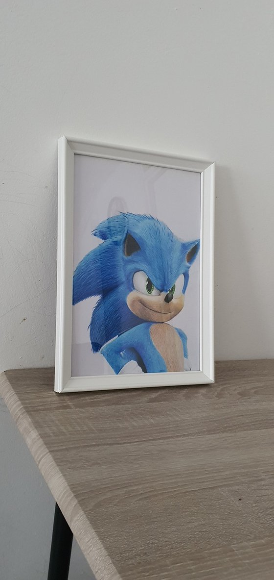 Sonic the Hedgehog