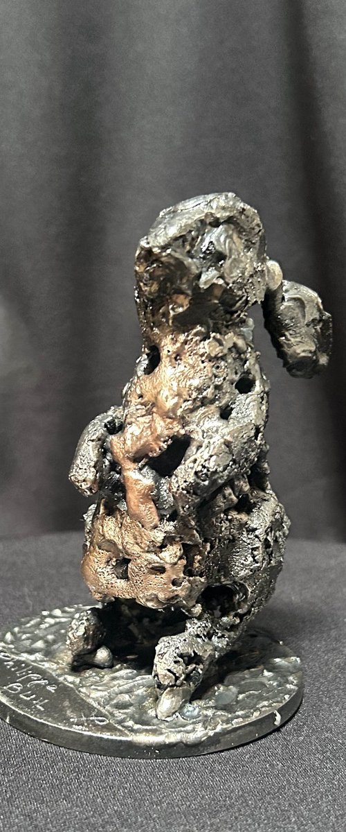 Mist Rabbit by Philippe Buil