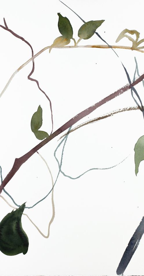 The Woods No. 87 by Elizabeth Becker