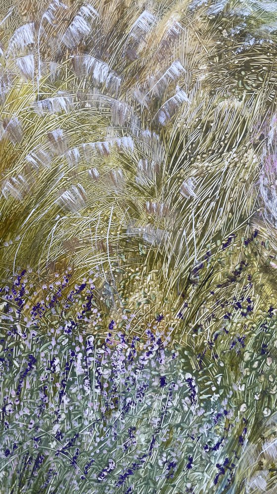 Ornamental grasses in the garden