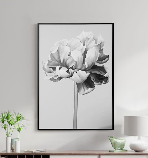 "Black and white peony" Black white flowers