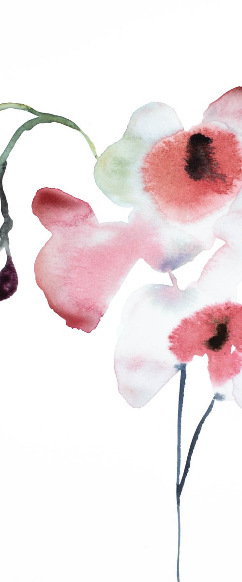 Orchid No. 2 by Elizabeth Becker