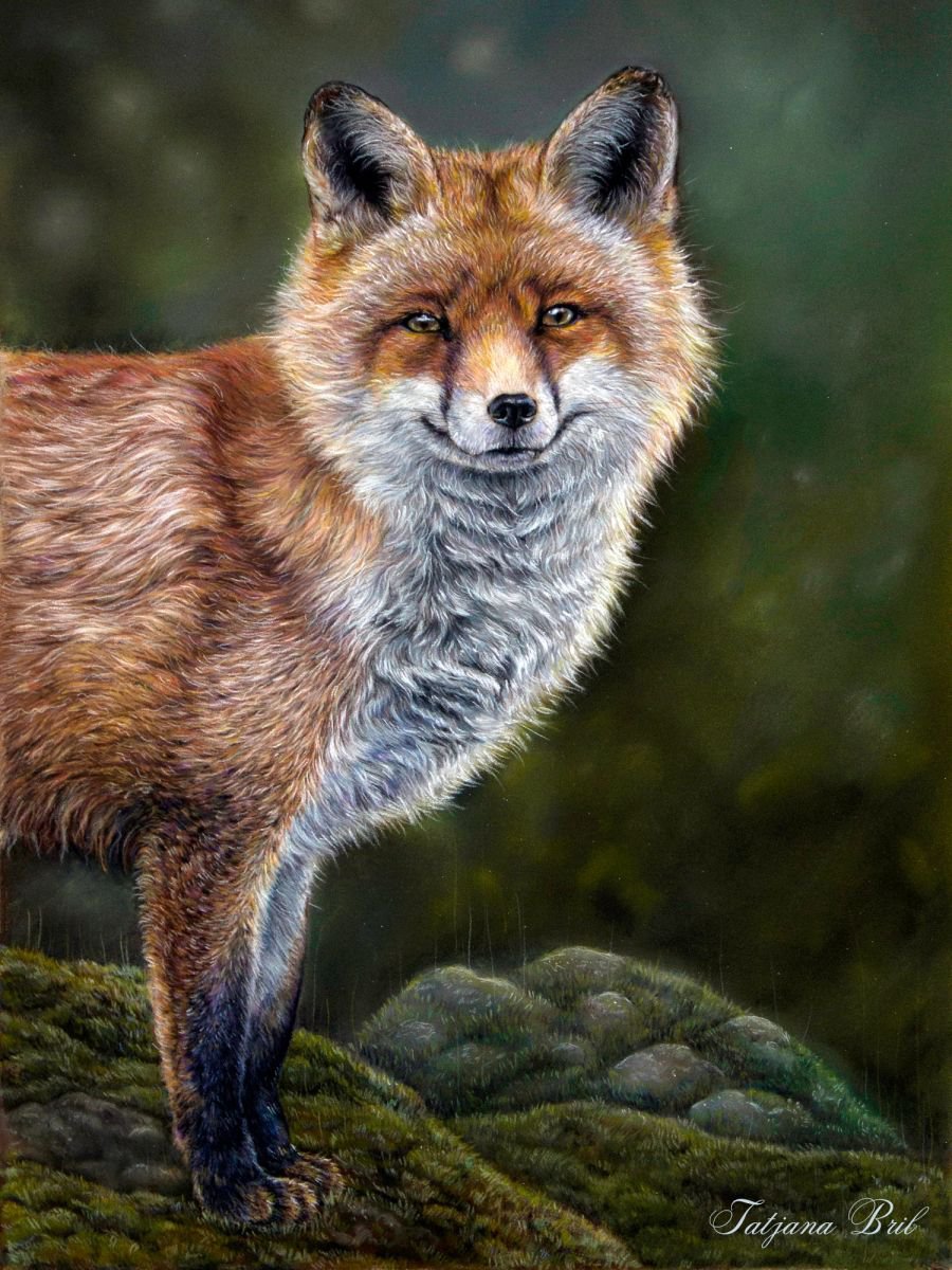Smiling fox Pastel drawing by Tatjana Bril Artfinder