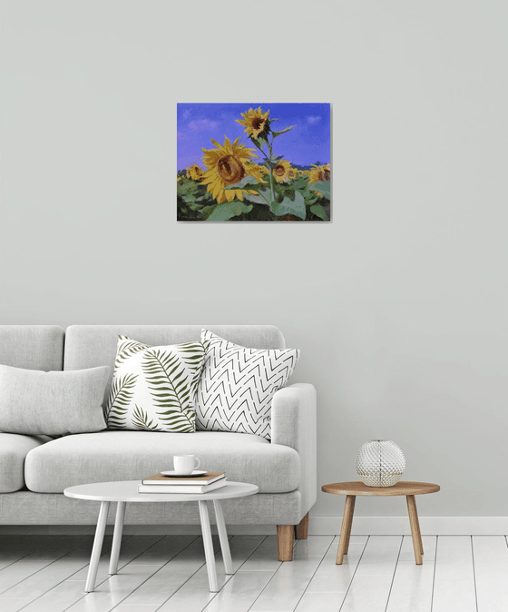 Sunflowers