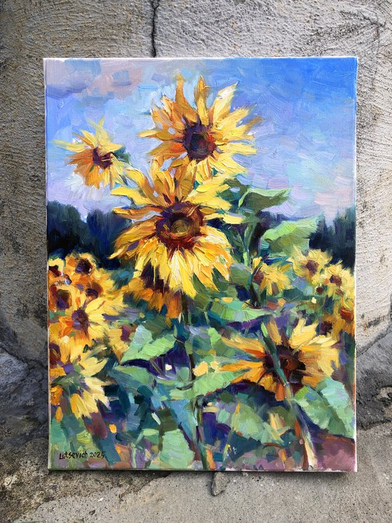 Sunflowers. The sketch