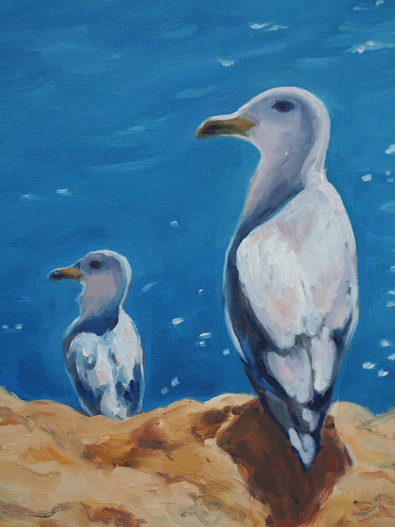 Seagulls