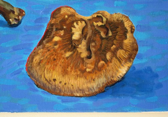 Funghi on Blue Table (1)