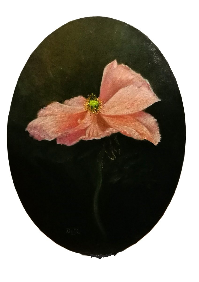 Impressionistic Botanical Oil Painting By Daniela Roughsedge, 12 X 16, Poppy, Original Artwork