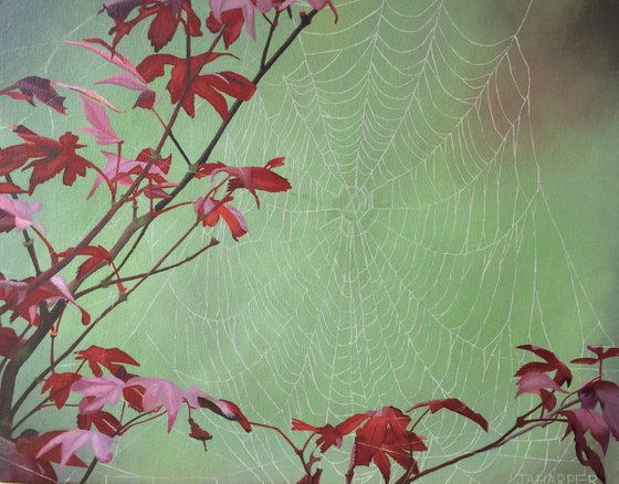 Spiderweb (red leaves)