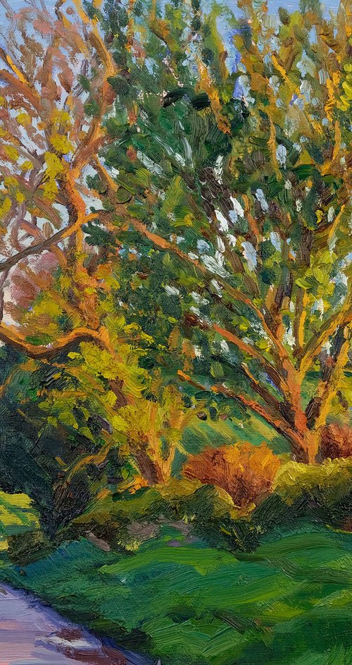 Last Light, Thornton Lane by Jeff Parker