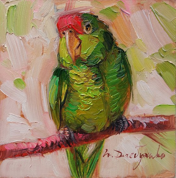 Original parrot bird painting small art framed, Green parrot bird painting original
