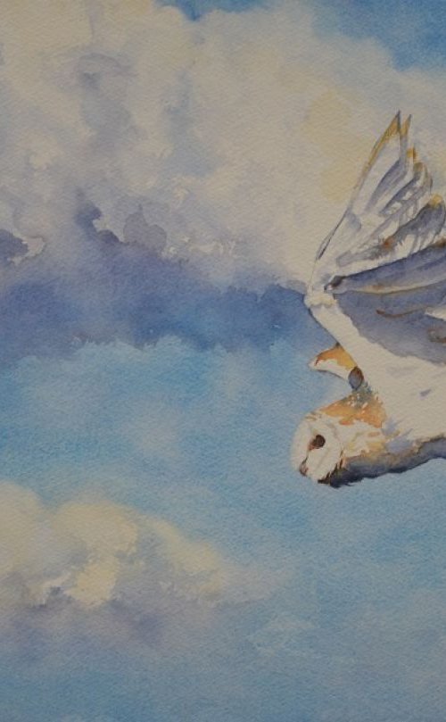 Barn Owl In Flight by Denise Mitchell