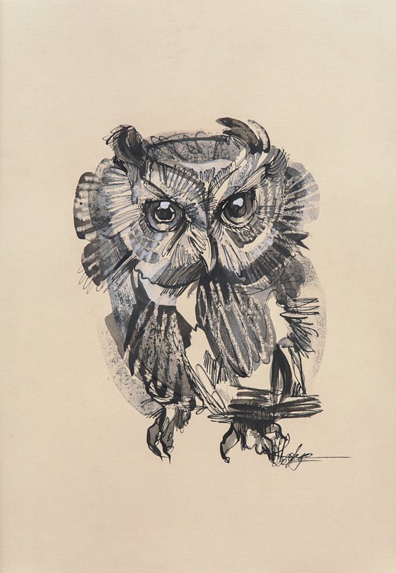 Owl