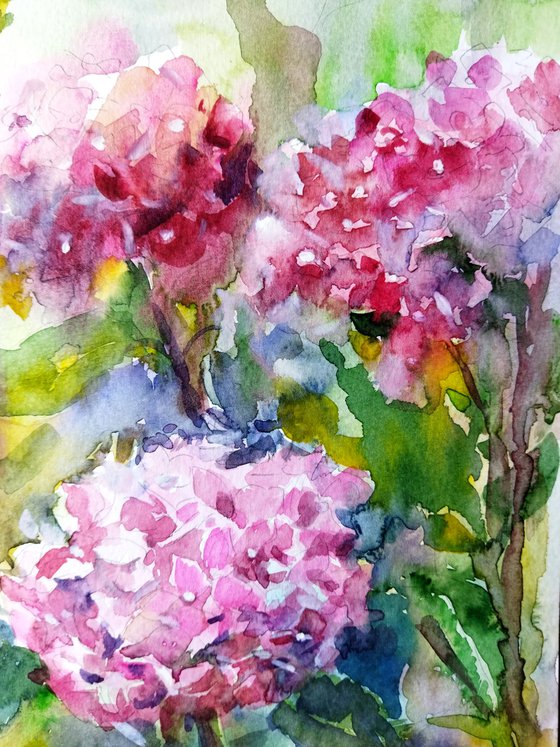 Pink Hydrangeas Art 9 by 12 inches