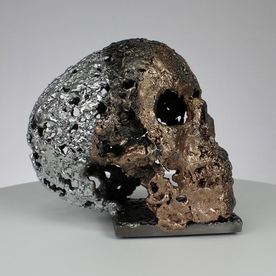 Skull CXXI - Metal skull artwork Steel Bronze and Chrome