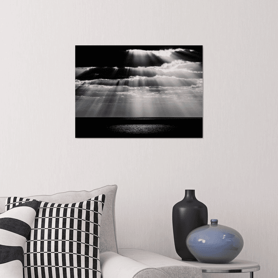 Spot | Limited Edition Fine Art Print 1 of 10 | 45 x 30 cm