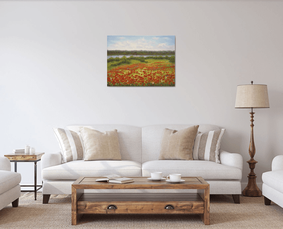 Poppy field