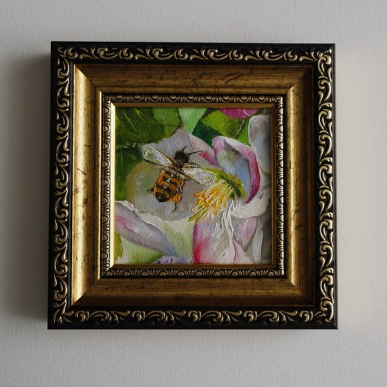 Bee on Pink Blossom