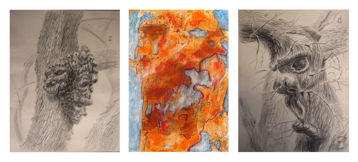 Botanical Painting By Antonio Mele, 59 X 27, Facce D