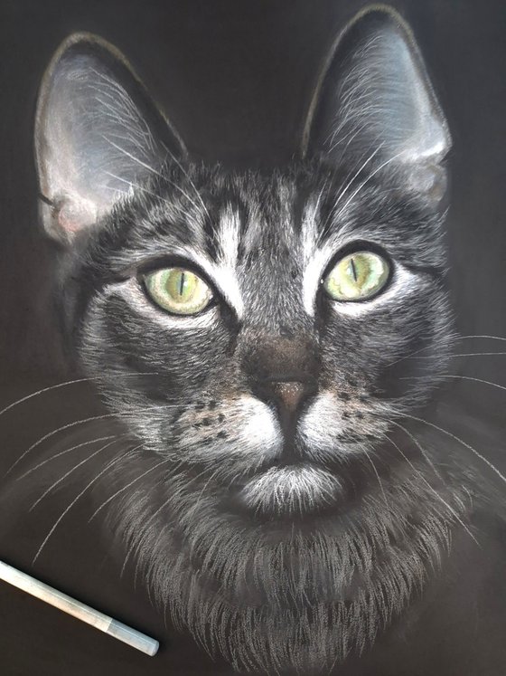 Emerald Gaze