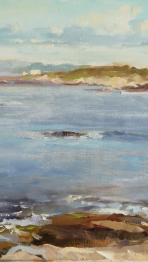 Plein air at the ocean 3 by Alexander Koltakov