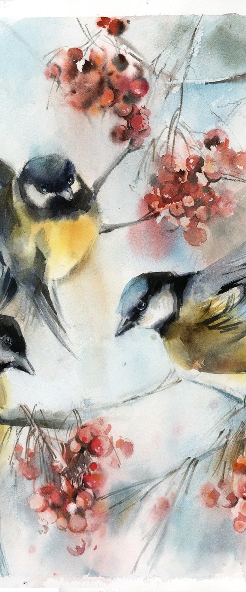 Tit birds by Sophie Rodionov