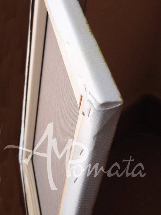 Highlights In The Mist