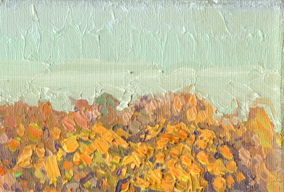 Pond at the Sukhanovo estate