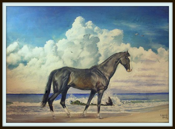 Horse on Beach