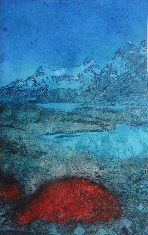 The Fire Bush, Torres Del Paine National Park, South America (Colour2) by Francesca Learmount at Cicca-Art