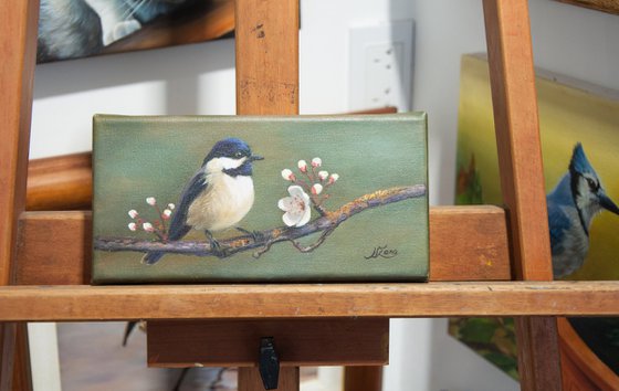 Chickadee